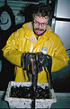 Thumbnail for version as of 18:46, 13 January 2007