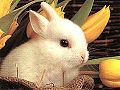 Thumbnail for version as of 00:24, 31 December 2006