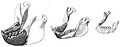 Thumbnail for version as of 04:20, 29 November 2008