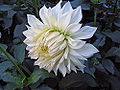 Thumbnail for version as of 23:04, 31 March 2010