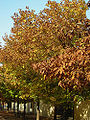 Thumbnail for version as of 05:28, 28 April 2007