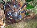 Thumbnail for version as of 14:55, 18 October 2006