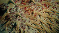 Thumbnail for version as of 19:18, 28 September 2006