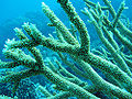Thumbnail for version as of 22:45, 8 October 2006