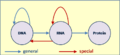 Thumbnail for version as of 18:21, 20 August 2012