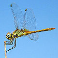 Thumbnail for version as of 00:25, 29 November 2007