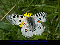 Thumbnail for version as of 04:28, 5 December 2012