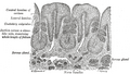 Thumbnail for version as of 20:06, 26 February 2013