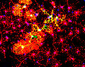 Thumbnail for version as of 12:08, 13 May 2011