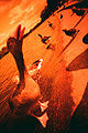Thumbnail for version as of 21:49, 18 February 2010