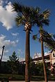 Thumbnail for version as of 23:48, 20 April 2011