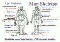 Thumbnail for version as of 20:01, 24 February 2014