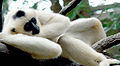 Thumbnail for version as of 02:05, 25 February 2010