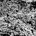 Thumbnail for version as of 03:22, 14 December 2009