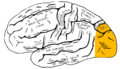 Thumbnail for version as of 03:16, 2 March 2010