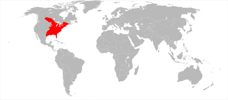 File:Grey Squirrel Range map.png