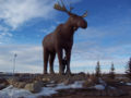 Mac the Moose in Moose Jaw, Saskatchewan