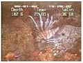 Thumbnail for version as of 08:17, 3 December 2008