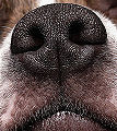 Thumbnail for version as of 02:08, 18 November 2011