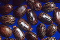 Thumbnail for version as of 21:20, 17 May 2009