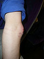 Thumbnail for version as of 05:37, 19 January 2012