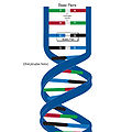 Thumbnail for version as of 20:46, 19 March 2010