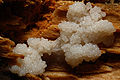 Thumbnail for version as of 05:15, 4 March 2009