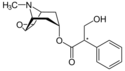 327px-Scopolamin - Scopolamine.svg.png