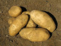 Thumbnail for version as of 06:55, 25 January 2007