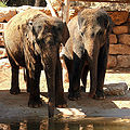 Thumbnail for version as of 07:04, 19 February 2010