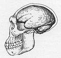 Thumbnail for version as of 01:46, 20 July 2011