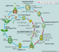 Thumbnail for version as of 17:31, 10 May 2012