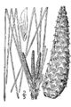 Thumbnail for version as of 19:57, 15 November 2006