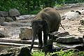 Thumbnail for version as of 08:38, 26 February 2010
