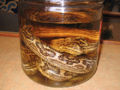 Thumbnail for version as of 07:21, 4 January 2008