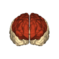 Thumbnail for version as of 04:19, 23 May 2019