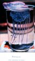 Thumbnail for version as of 17:11, 28 September 2006