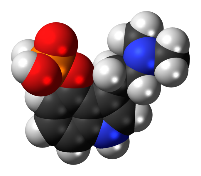 File:Psilocybin-3D-spacefill (1).png