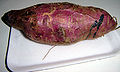 Brazilian sweat potato (S. tuberosum)