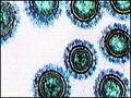 Thumbnail for version as of 21:28, 29 April 2008