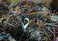 Thumbnail for version as of 04:12, 31 January 2012