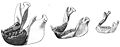 Thumbnail for version as of 21:49, 18 December 2008