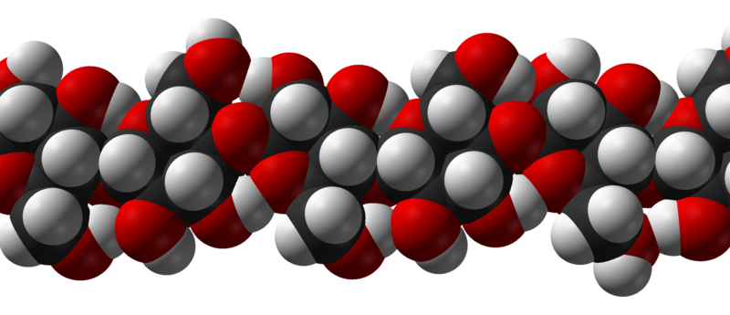 File:Cellulose-Ibeta-from-xtal-2002-3D-vdW.png