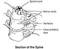 Thumbnail for version as of 10:18, 26 October 2009