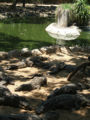Thumbnail for version as of 08:55, 9 January 2007