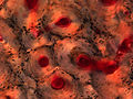 Thumbnail for version as of 11:15, 18 February 2011