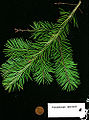Thumbnail for version as of 02:36, 16 June 2008