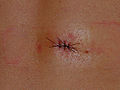 Thumbnail for version as of 00:18, 4 January 2010