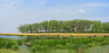 Bur Oak waterway.jpg