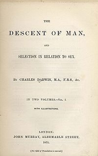 Descent of Man.jpg